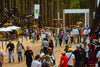 Expoforest, Feria Brasilera Forestal 2023